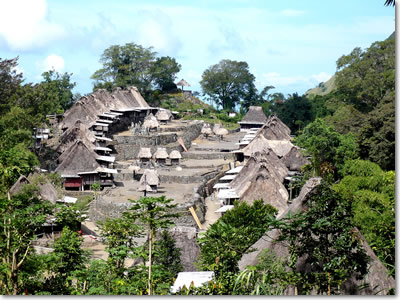 The traditional village of Bena, Central Flores
