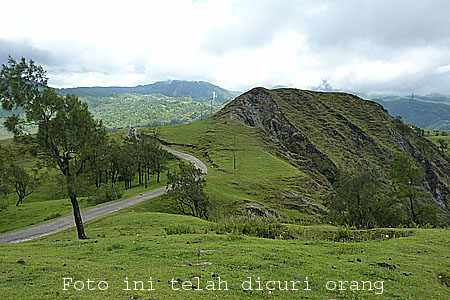 Timor